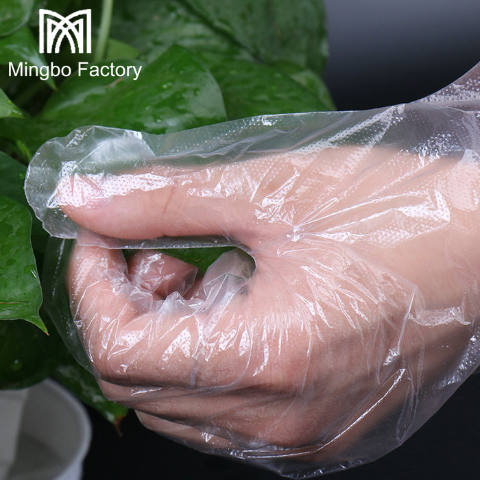 一次性透明厨房塑料手套