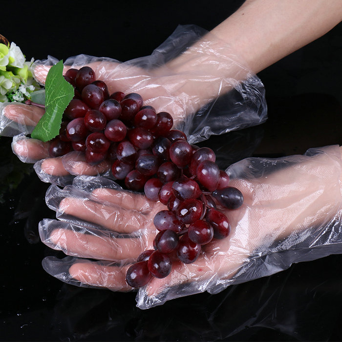 食品安全透明 PE 一次性手套，女士尺寸
