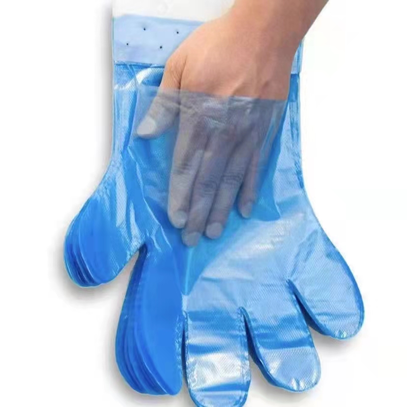 一次性带挂孔食品级塑料手套